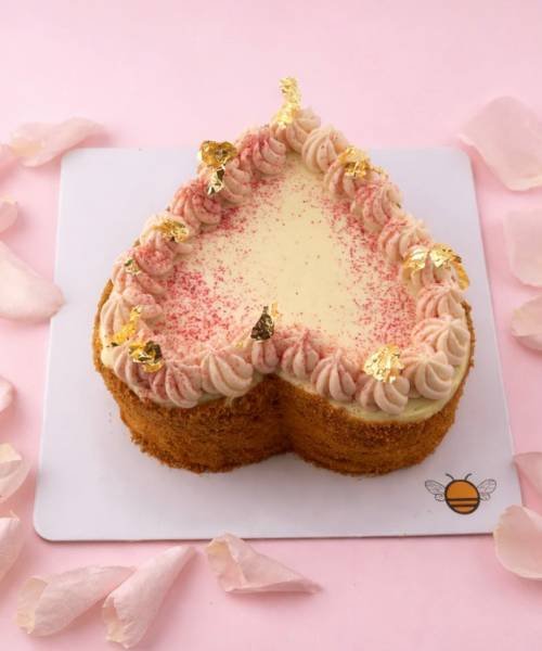 WhatsApp Image 2026-02-12 at 4.25.44 PM