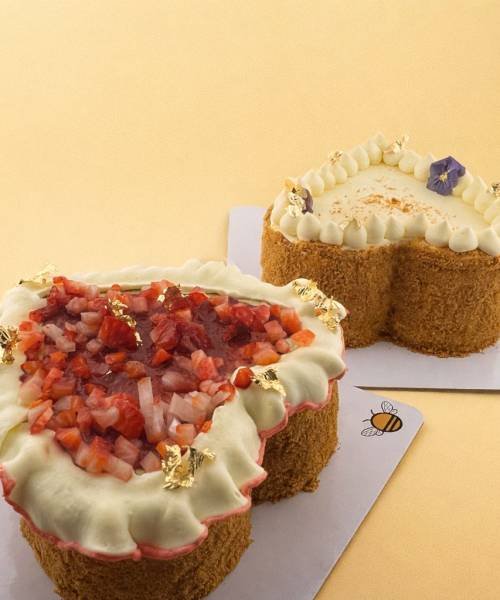 WhatsApp Image 2026-02-12 at 4.25.45 PM